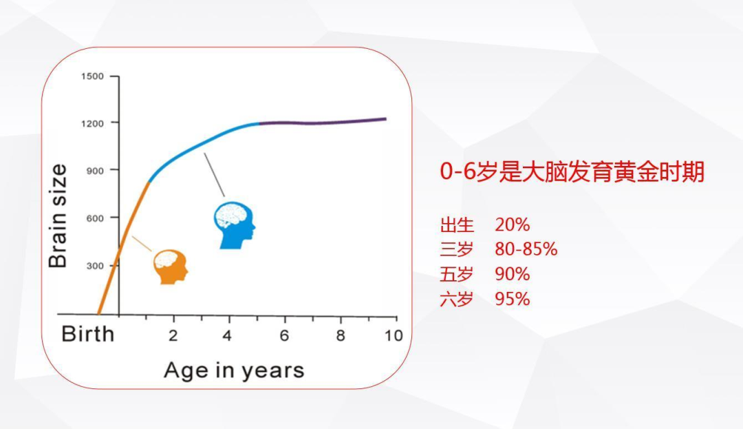 如何让宝宝拥有强大的语言表达能力和记忆力